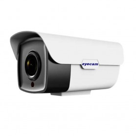 EyecamCamera 4-in-1 full HD Sony Starvis full Color Eyecam EC-AHDCVI4134